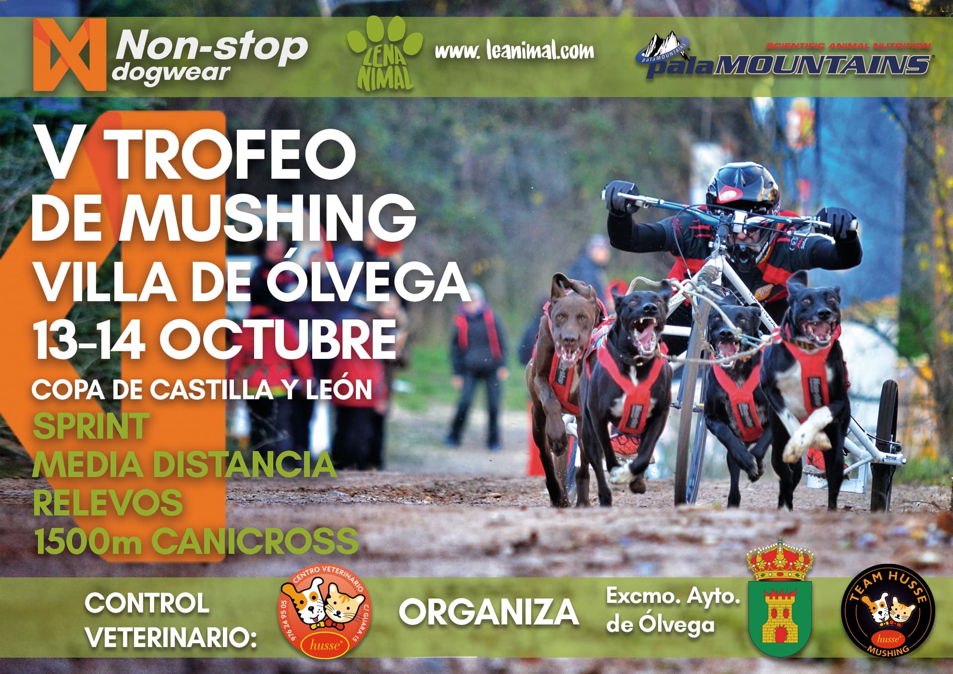 V TROFEO DE MUSHING VILLA DE OLVEGA